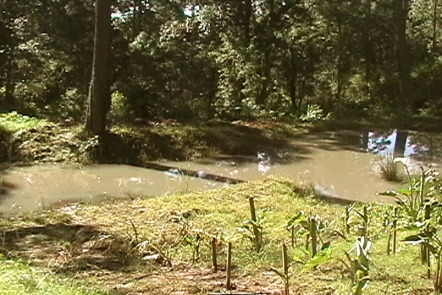 Caminos de campo